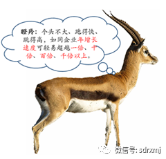 平博_平博(中国)
